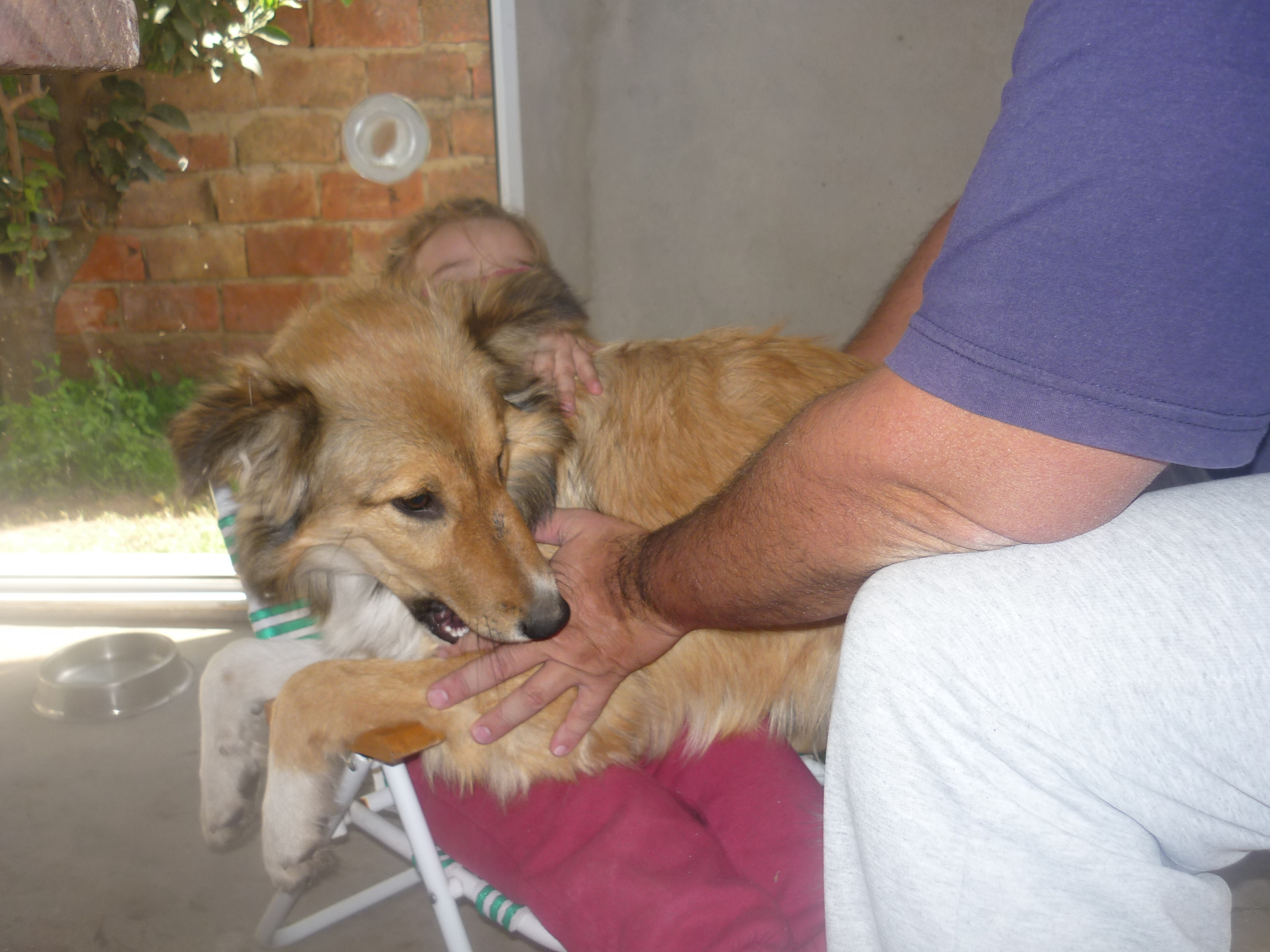 fotos/2012-12-10 - Iara/P1020733.JPG